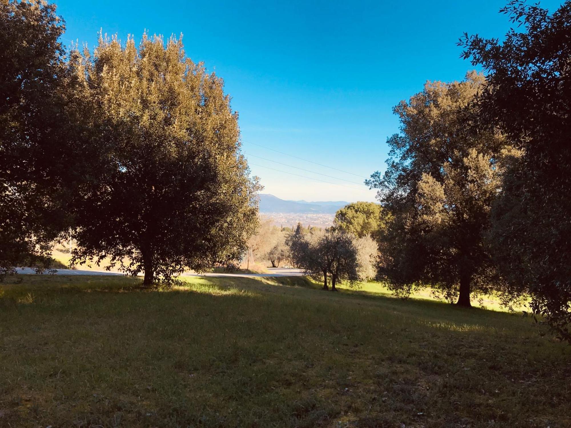 Ferienwohnung La Residenza Dei Piaceri Perduti- Le Volte Lastra a Signa Exterior foto